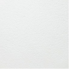 ARMSTRONG BIOGUARD Plain 90RH 600 x 600 x12 мм ARMSTRONG BIOGUARD Plain 90RH 600 x 600 x12 мм