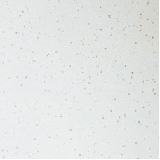 ARMSTRONG CLEAN ROOM FL (95 RH) Board 15 мм